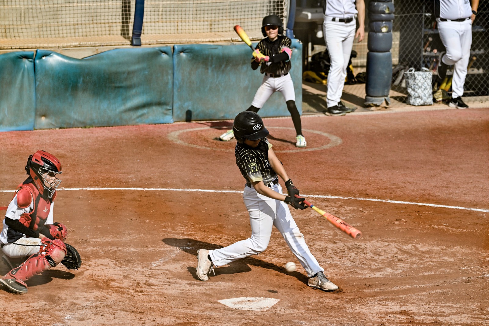 photo baseball