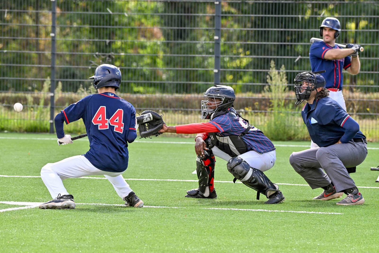 DSC_2010.jpg