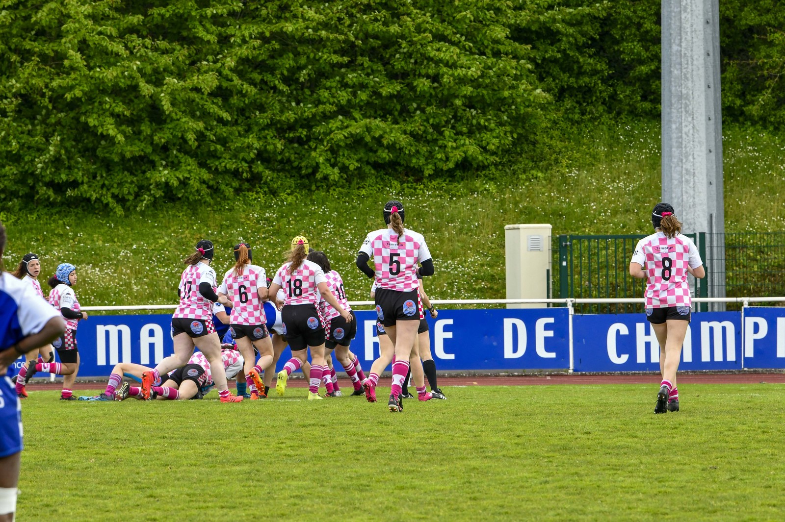photo sans montage