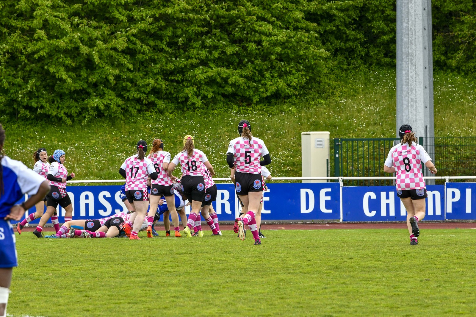 photo sans montage