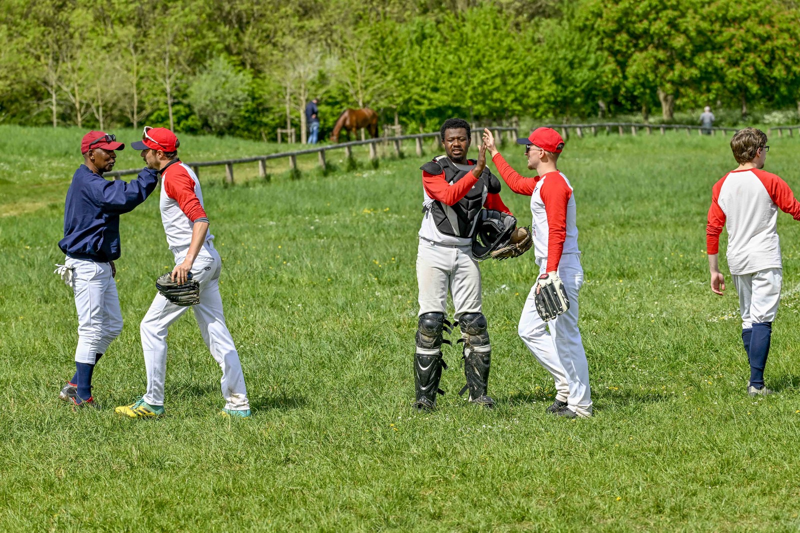 photo de sport base ball
