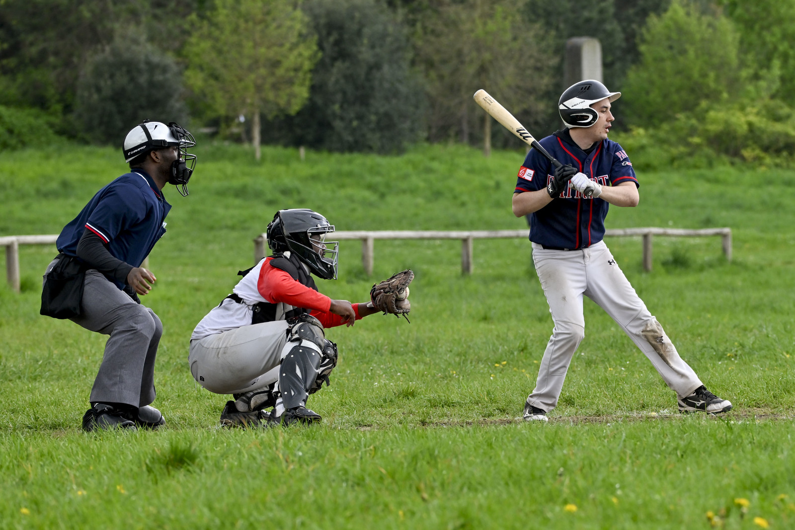 photo base ball