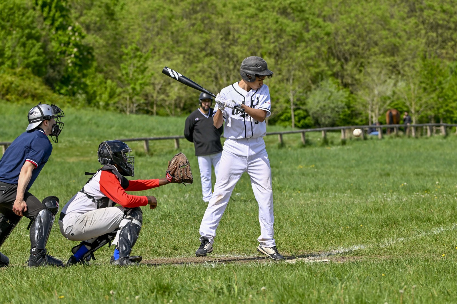 photo de sport base ball
